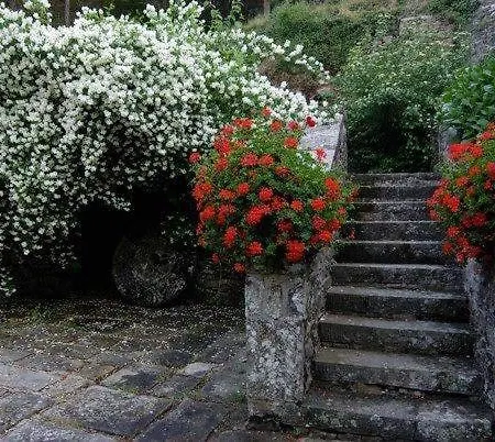 Apartamento Agriturismo Molinvecchio *