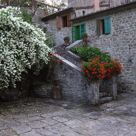 Apartamento Agriturismo Molinvecchio *