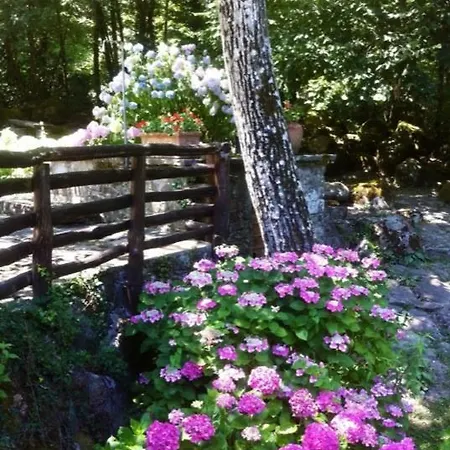 Agriturismo Molinvecchio Talla